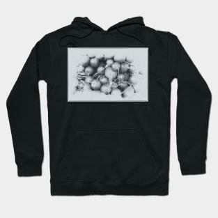 Radishes Artwork 1 Hoodie